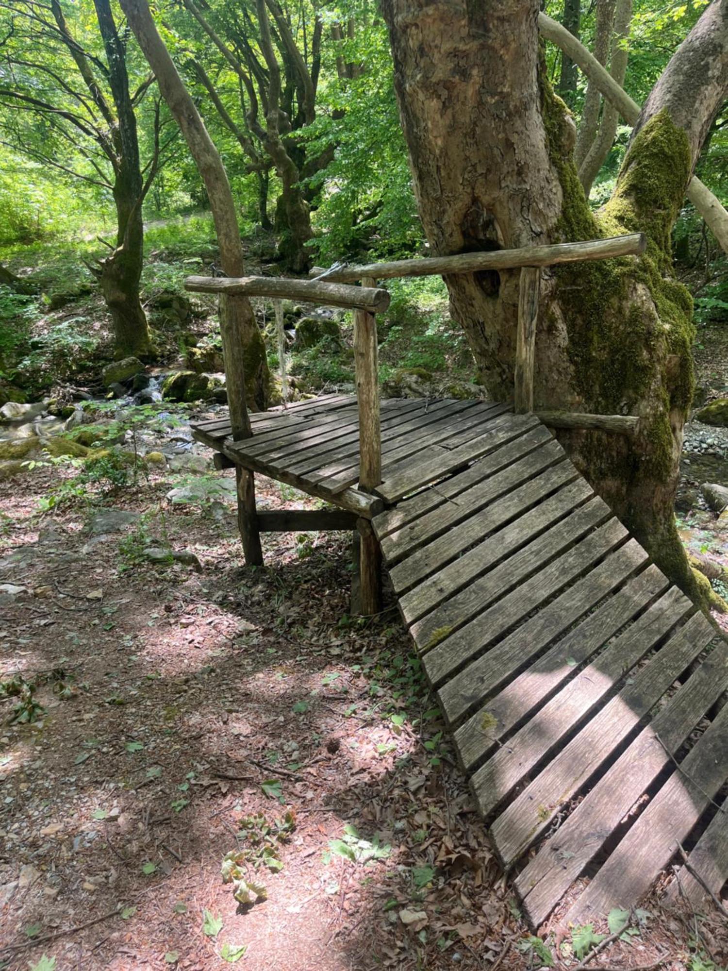 Elatovillage Elatochorion Bagian luar foto