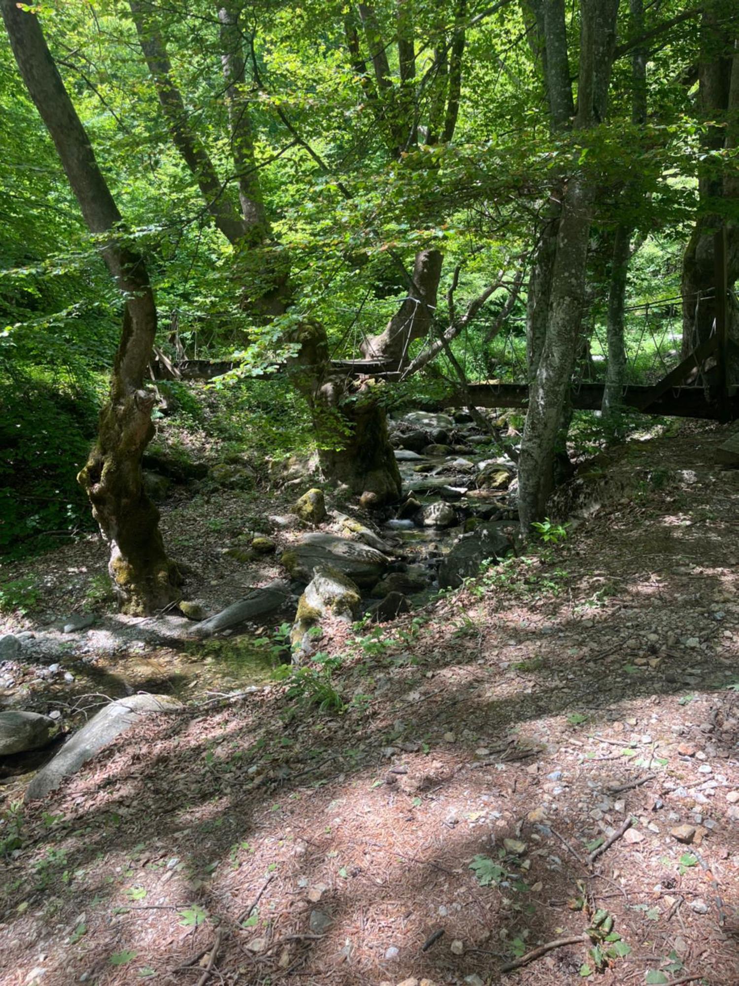 Elatovillage Elatochorion Bagian luar foto