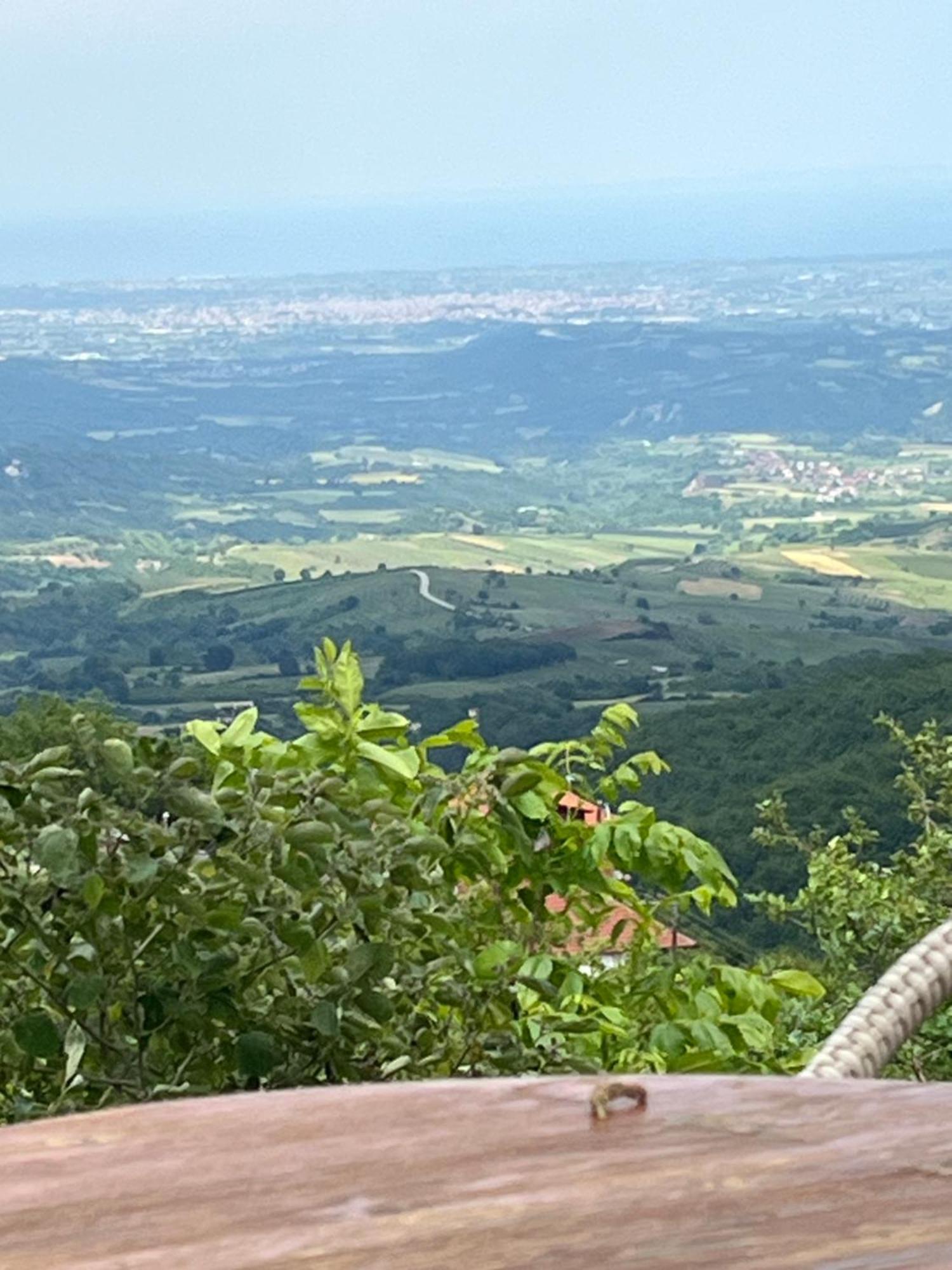 Elatovillage Elatochorion Bagian luar foto